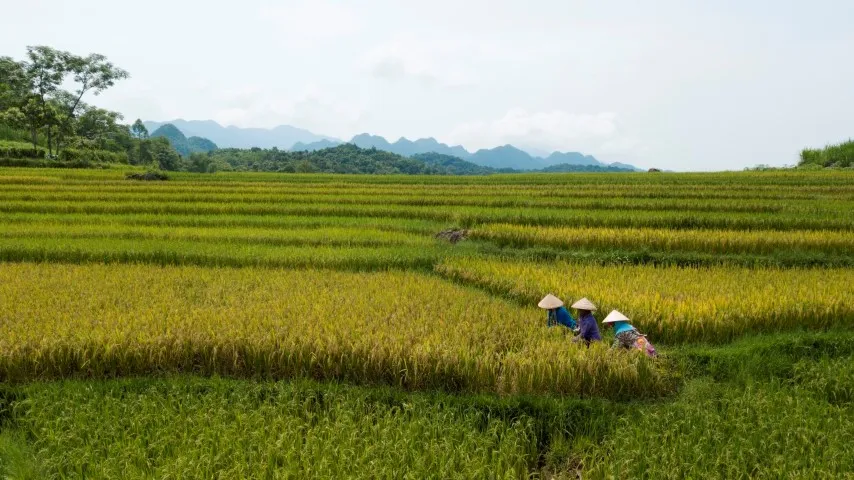 Pu Luong Natuurreservaat